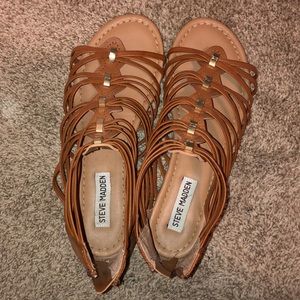 brown steve madden gladiator sandals